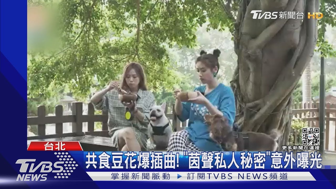 毛孩懼高「差點罷工」太Q! 吳姍儒、茵聲合體《萌寵明星》