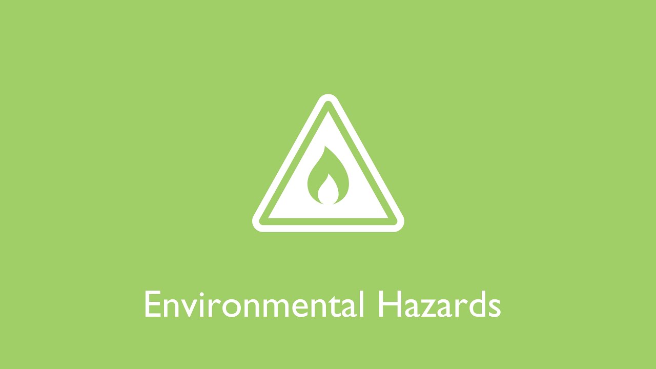 Environmental Hazards - Fact Sheet
