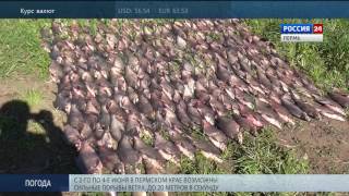 Ловля рыбы в период нереста статья