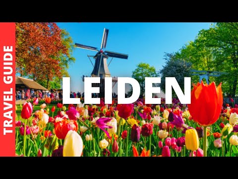 Leiden Netherlands Travel Guide: 17 BEST Things To Do In Leiden