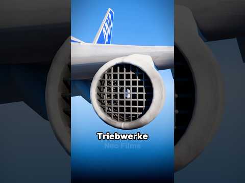 Why airplanes don't have bird guards ✈️