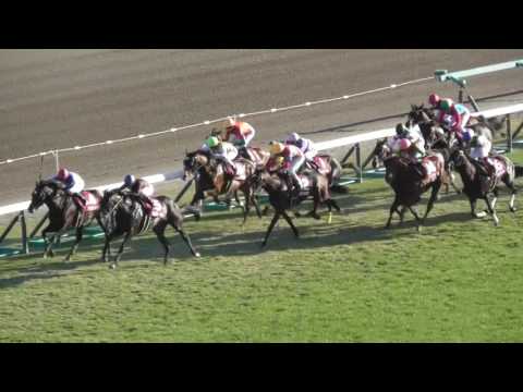 2016 第33回 ホープフルステークス(ＧＩＩ) 直線からゴールまで 現地映像 レイデオロ