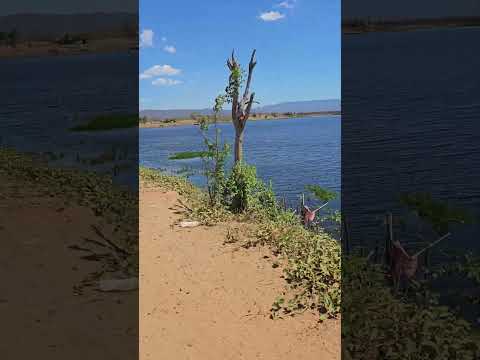 açude milhãs / Pacujá-CE em outubro de 2025! 🏞 #fly #pov #ceará #pacujáce #lindo #agua #s23ultra