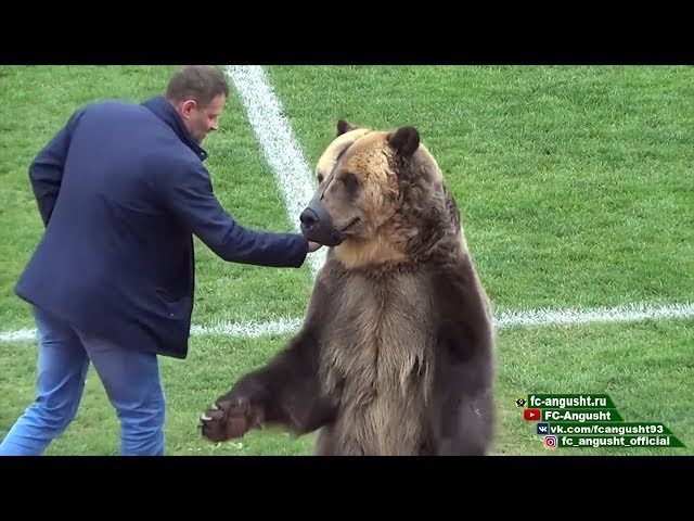 «Неместное время» за 18 апреля