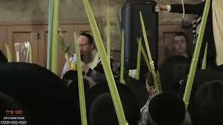 ר' נתן רוטמן | שער הכותנה | סוכות תשפ