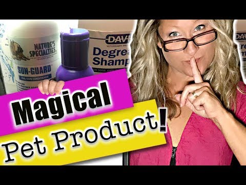 YouTube video about: How to soften coarse dog hair?