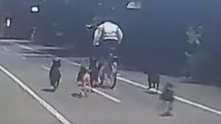 事實證明：狗看到兩顆輪子的都會特別興奮