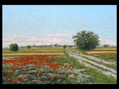 Aleksandar Aca Karadžin - Polja banatska - Izvođač Milan Prunić