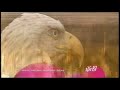 TPT ID 2010 2
