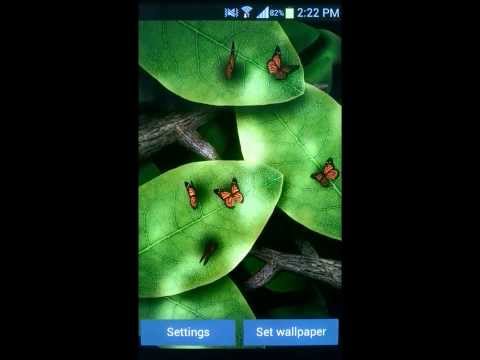 Tap Leaves Live Wallpaper Video