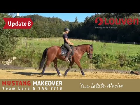 Vier Monate im Training und das ist möglich😍 - Team Lara | MUSTANG MAKEOVER 2024
