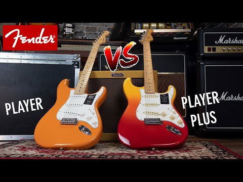 Fender Player vs Player Plus: Stratocasters