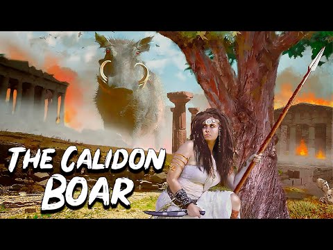 Meleager and Atalanta: The Hunt for The Calidon Boar - Greek Mythology Stories - See U in History