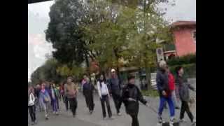 preview picture of video 'UOEI TORRE DEL LAGO PUCCINI --  Quelli che....camminano'