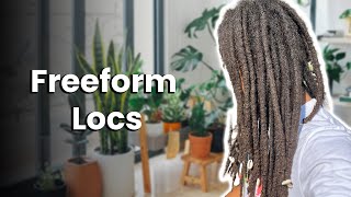 How To Start Freeform Locs