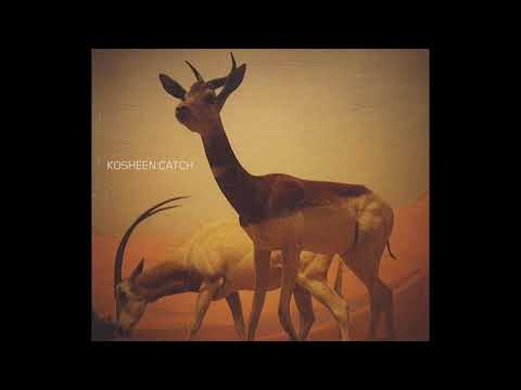 Kosheen - Catch (Ferry Corsten Vocal Remix)(2001)