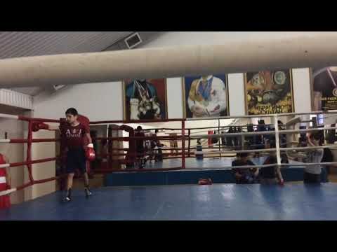 Муртуз магомедов спарринги