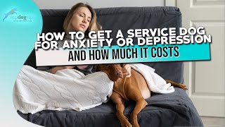How to Get a Service Dog for Anxiety or Depression And How Much It Costs