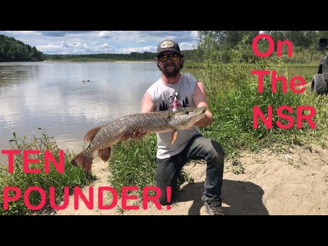 10 POUND NORTHERN PIKE! - North Saskatchewan River Campout