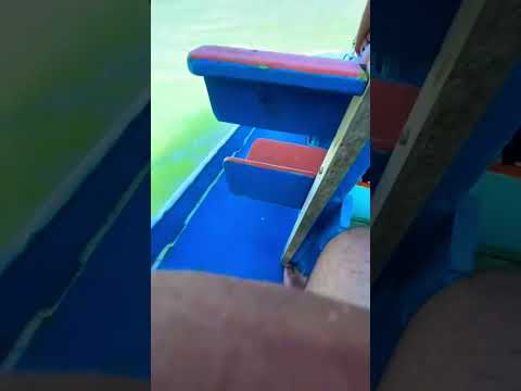 Maragogi Alagoas com Mãezinha e Família 😍 #turismo #viral #maragogi #aventura #praia #nordeste