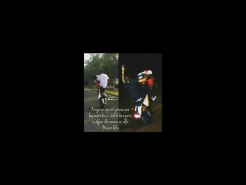 RIP FANFI - POCHO TAZMANIAK EL MONUMENTO 602MUSIC