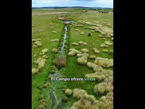 39 hectáreas en Lavalleja Mariscala