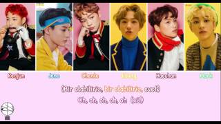 NCT DREAM -Trigger The Fever // Türkçe Altyazılı