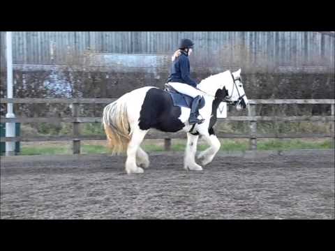 elllieeXox’s Video 105921826703 IkOlMdxWUcg