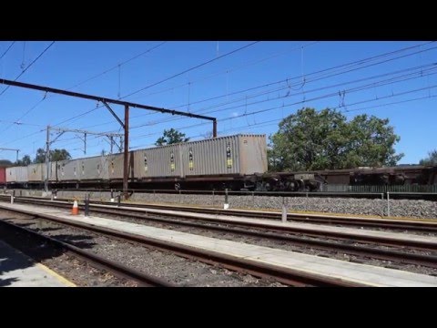*Rare* Double 81's with steel train 3NY3 - 19/1/16