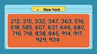 Area Codes: A Complete 2024 Guide by States