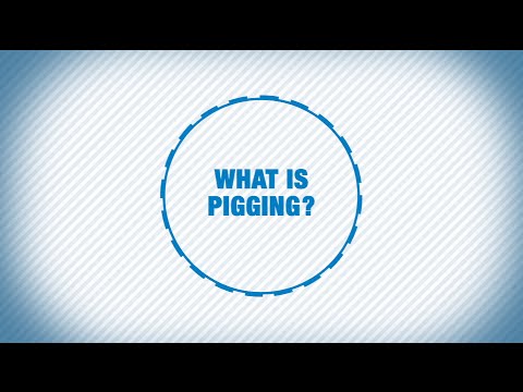 Lợn là gì? Đoạn giới thiệu