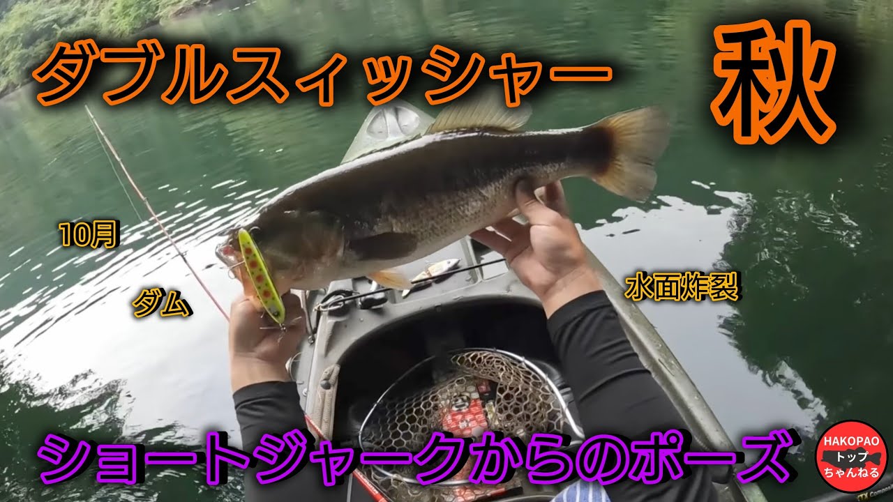 【ダブルスイッシャー】ショートジャークしてポーズとったら出た日