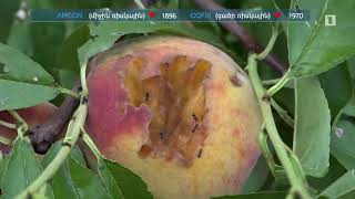 Ինդեքս 19.07.2021