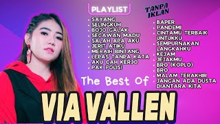 Download lagu SAYANG - VIA VALLEN FULL ALBUM TERPOPULER - BOJO GALAK - SELINGKUH - SECAWAN MADU - SALAH APA AKU mp3
