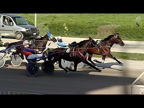 Aversa trotto 13 Marzo - 6° Corsa