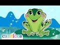 Cucú Cantaba La Rana Y Más Canciones Infantiles Tradicionales Con Canticosworld