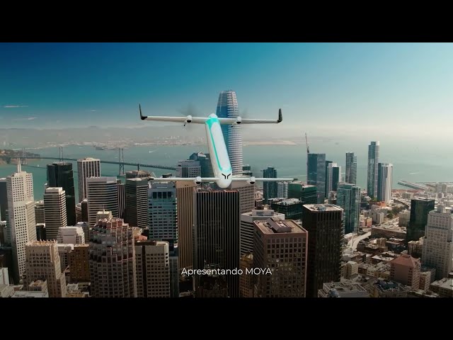 Video 6