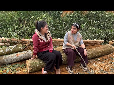 Hong visits the place where Mai is logging