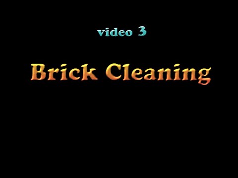 Brick Cleaning