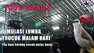 Download lagu Simulate the Indonesian chirping bird competition, finches mp3 Download lagu Simulate the Indonesian chirping bird competition, finches mp3