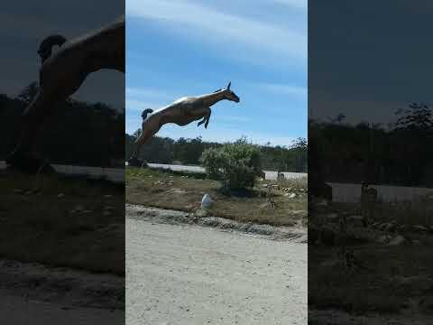 Tolhuin un lugar muy hermoso tierra del fuego