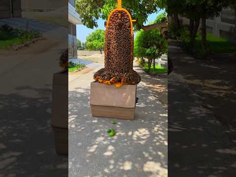 Allah dehk rha ha #viral #prayer #emotional #shortvideo #shorts