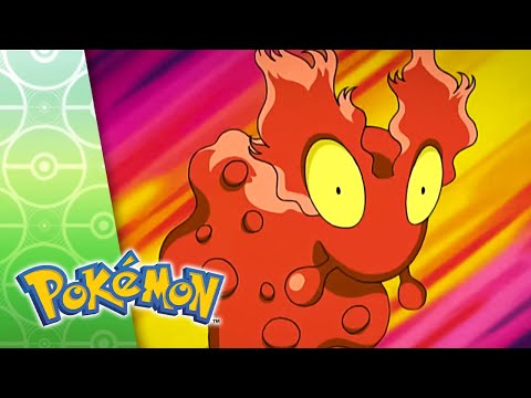 Going, Going, Yawn | POKÉMON FULL EPISODE 16 | Season 7