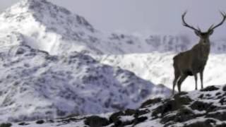 Music video thumbnail preview for Silent Night - Pagan by Sad