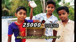  How to make a bird trap Malayalam ഒരു ക�