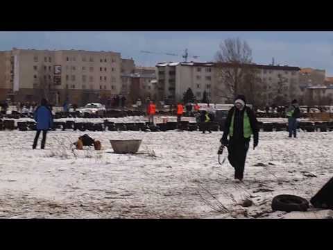 OS Bemowo 2013. Igor Widłak, Sebastian Teter