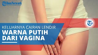 Keputihan, Keluarnya Cairan yang Menyerupai Lendir dari Vagina, Kenali Gejala & Penyebab Berikut Ini