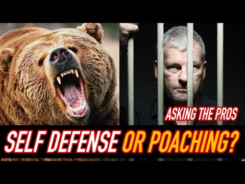 Self defense or Poaching? | Can you shoot a grizzly in self defense? Bear defense handguns