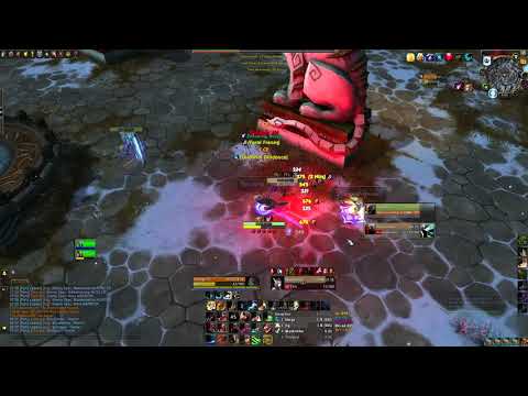 Feral Druid Shadowlands PvP
