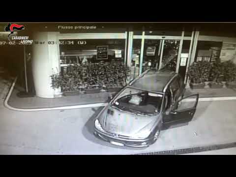 Livorno arrestato  36enne accusato di aver commesso 21 reati nei comuni di Rosignano Maritt e Cecina